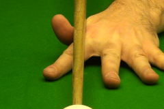 68098_505253479514685_932393636_n_505253479514685