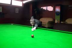 10733724_877664435606919_8267853033779614634_o_877664435606919